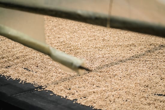 Colombia Seasonal