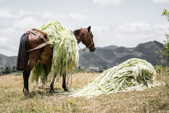 Colombia Seasonal