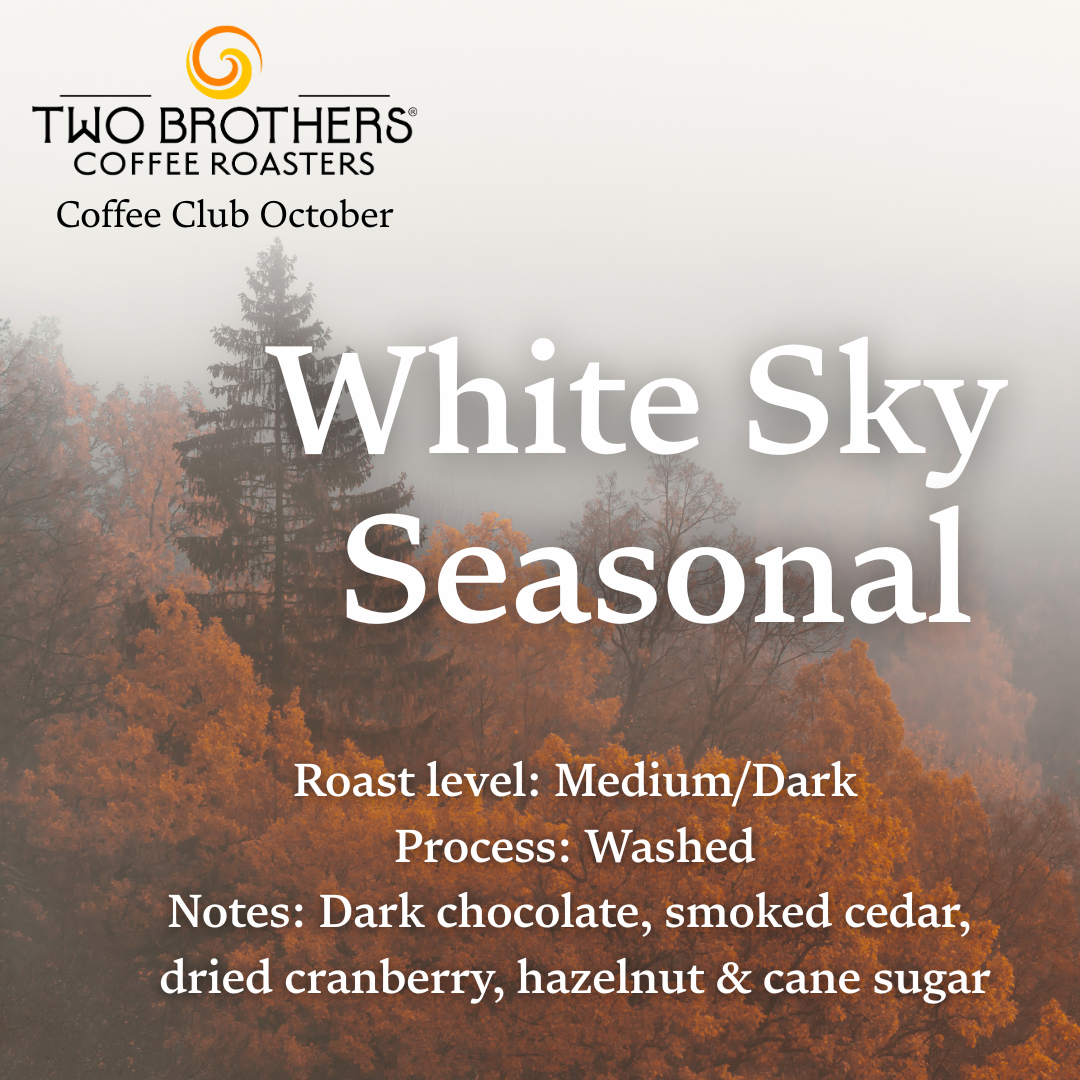 White Sky Seasonal