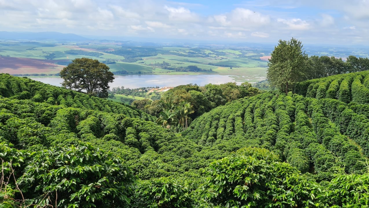 Brazil Seasonal