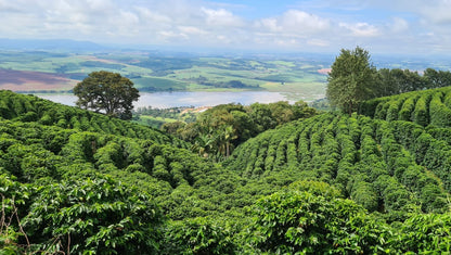 Brazil Seasonal